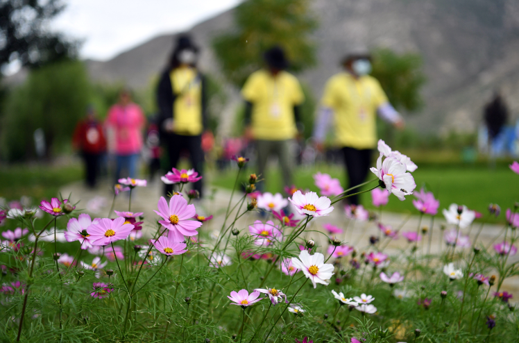 健身-户外-2.png 健身-户外-2.png