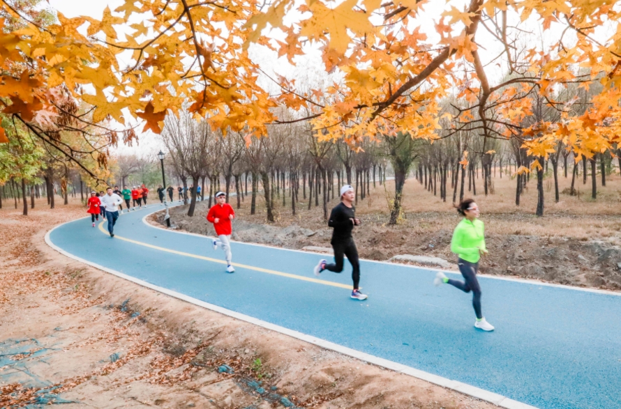 微信截图_20241108071336.jpg 微信截图_20241108071336.jpg