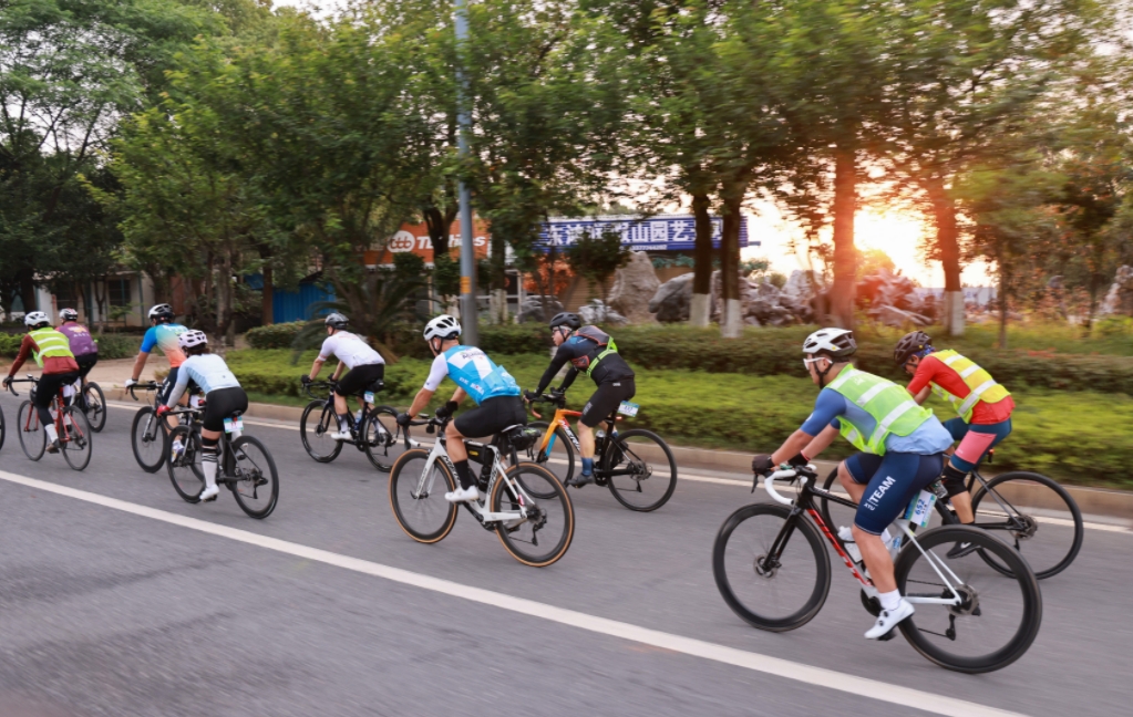 微信截图_20241108071310.jpg 微信截图_20241108071310.jpg