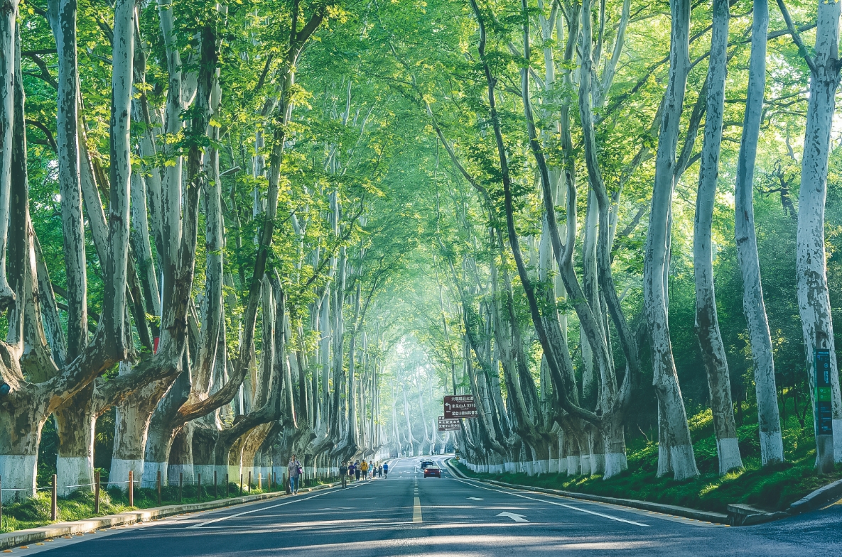 微信截图_20250117082052.png 微信截图_20250117082052.png