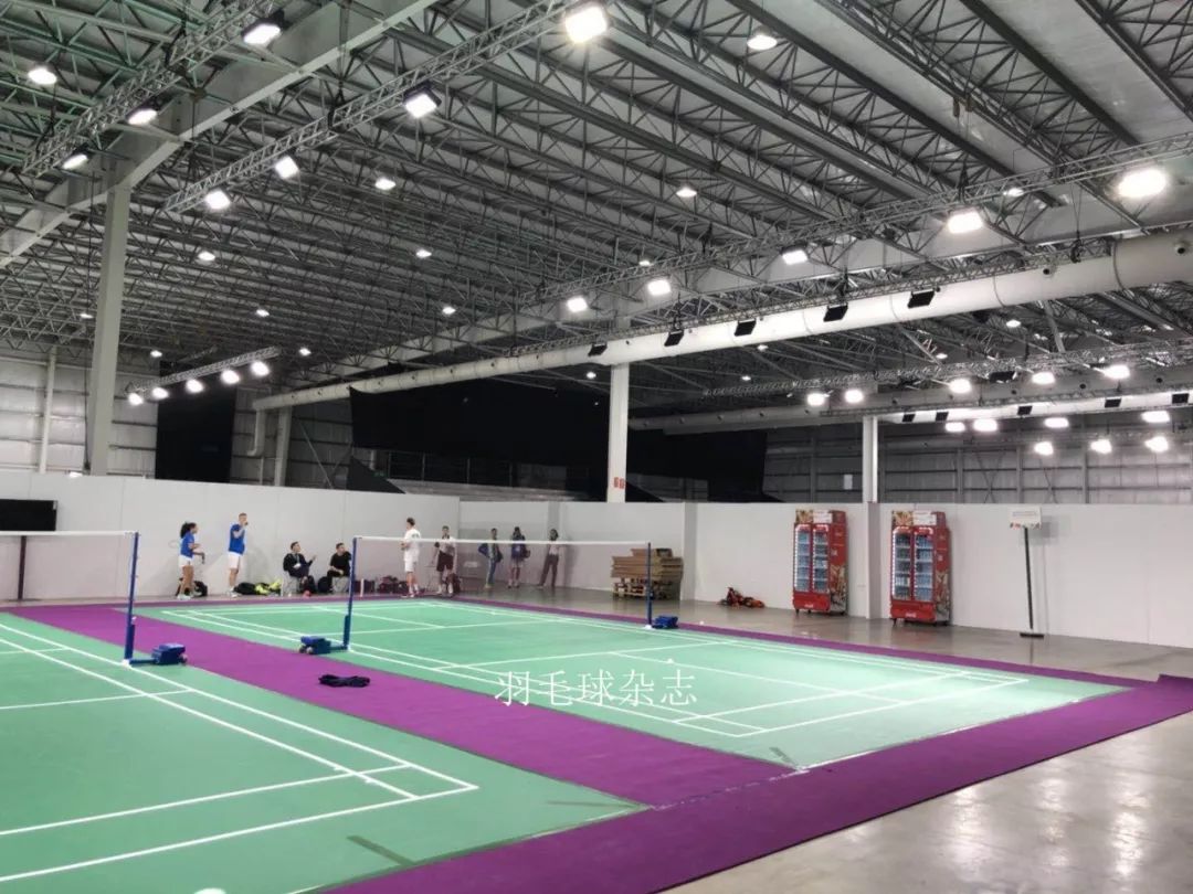 1010-羽毛球2.jpg