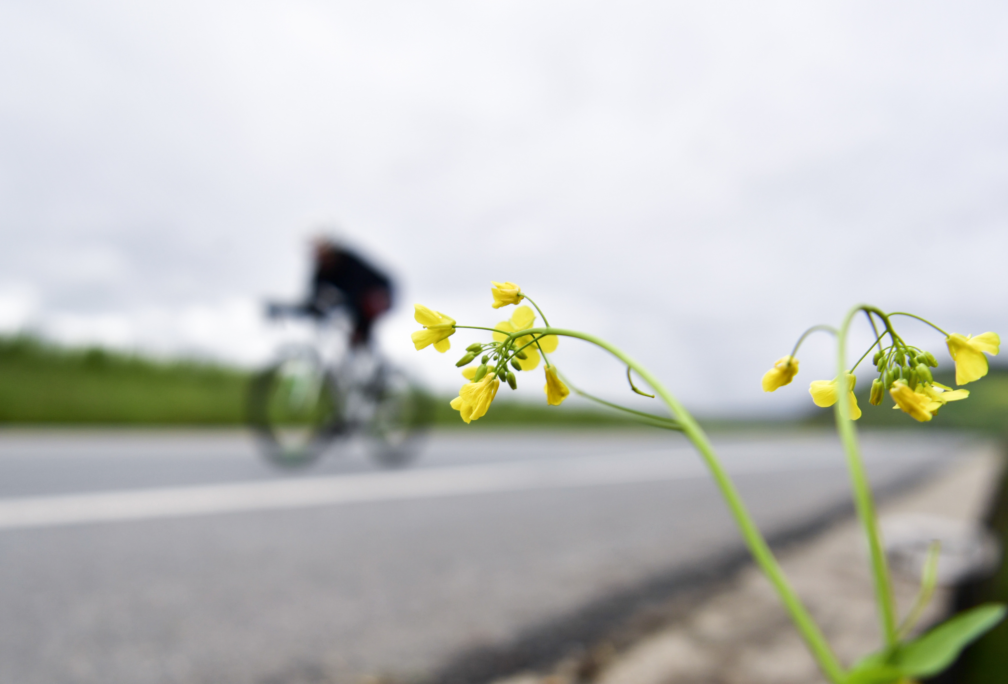 1018-自行车.jpg 1018-自行车.jpg