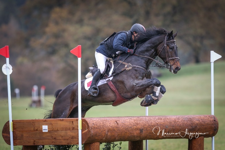 image3.jpeg image3.jpeg