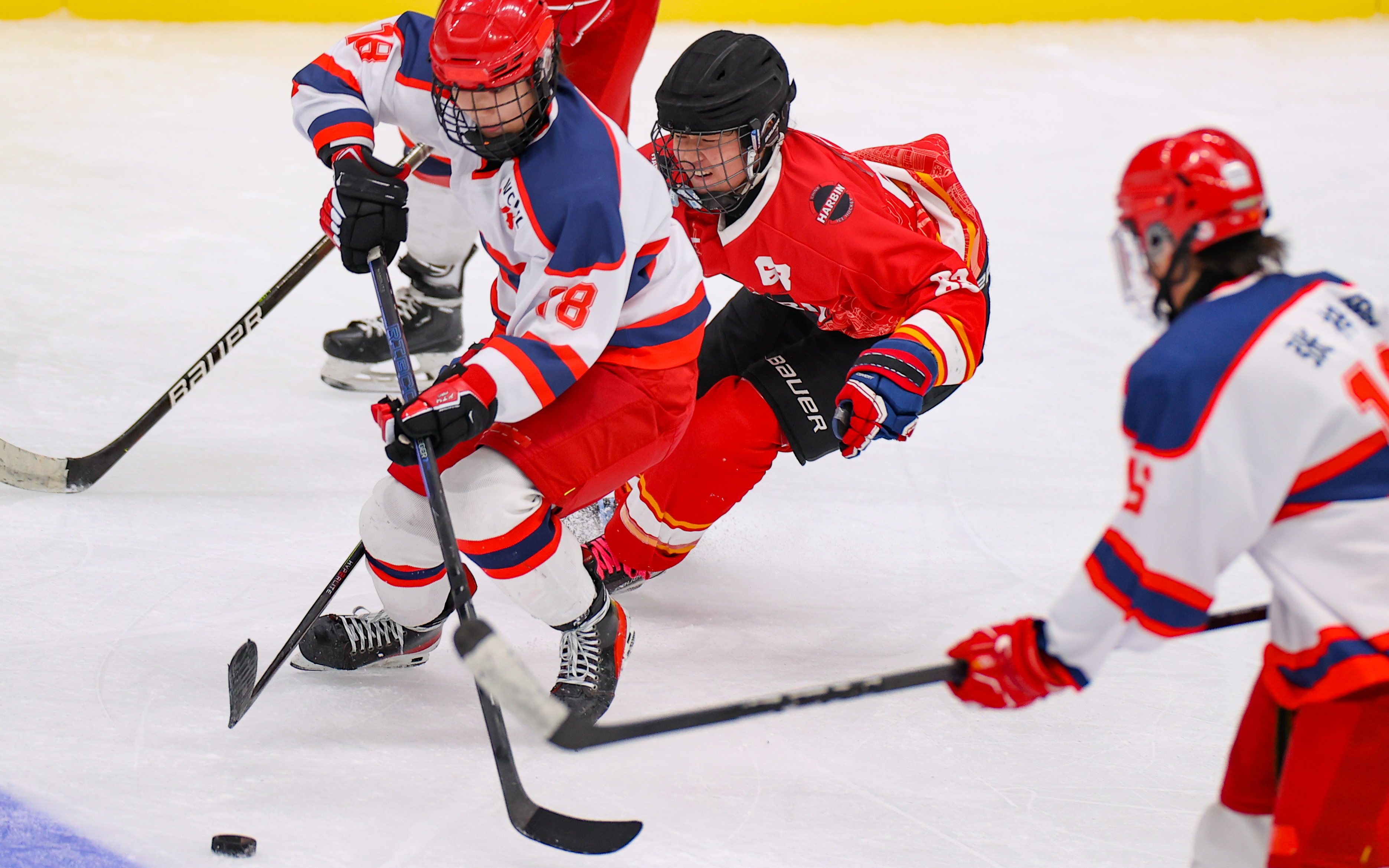 河北vs哈尔滨.jpg 河北vs哈尔滨.jpg