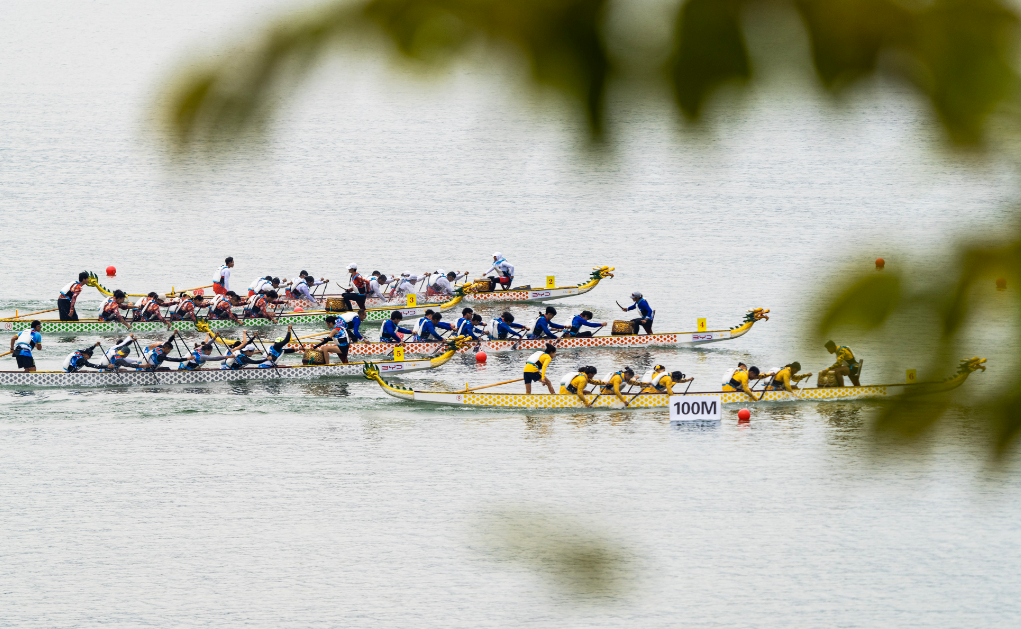 1031-龙舟.png 1031-龙舟.png