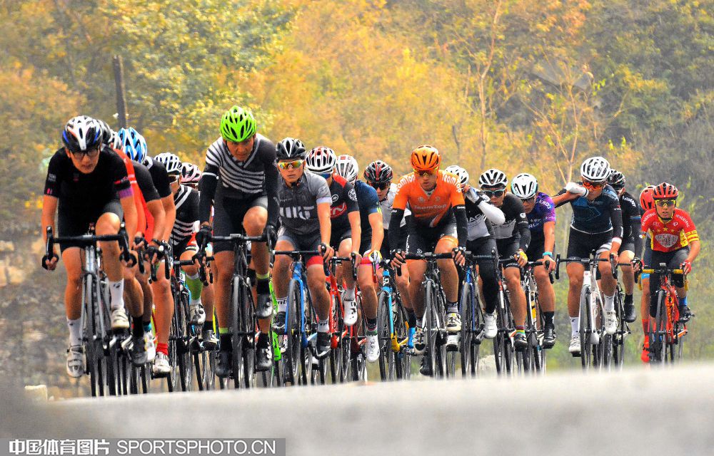 1101-自行车1.jpg 1101-自行车1.jpg