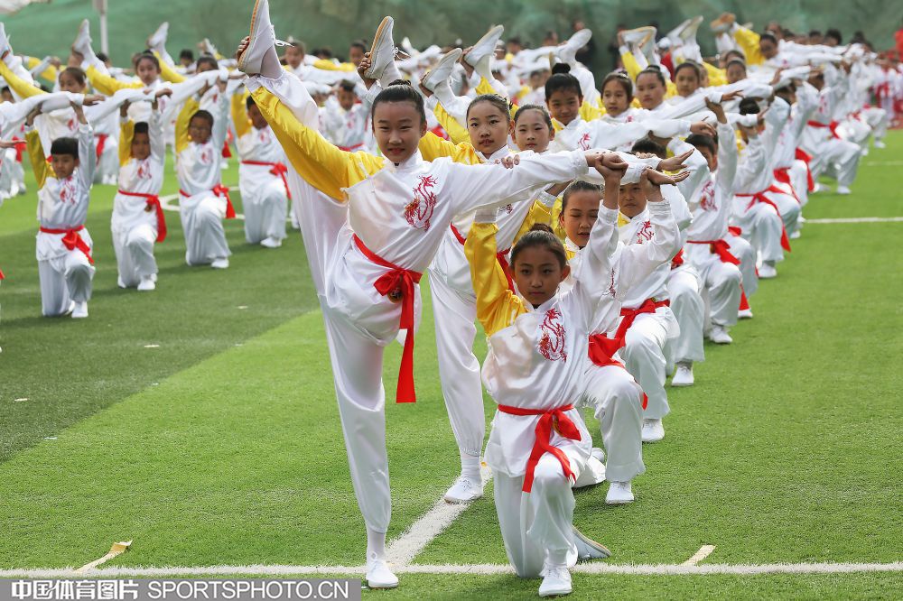 W_55213051_19041618_lgf.jpg W_55213051_19041618_lgf.jpg