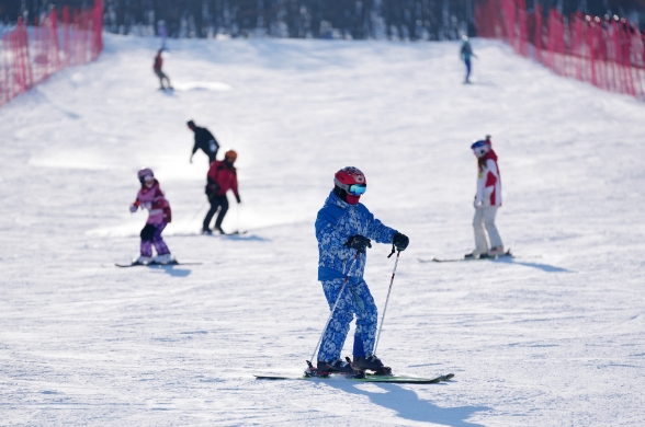 微信截图_20240201084003.png 微信截图_20240201084003.png