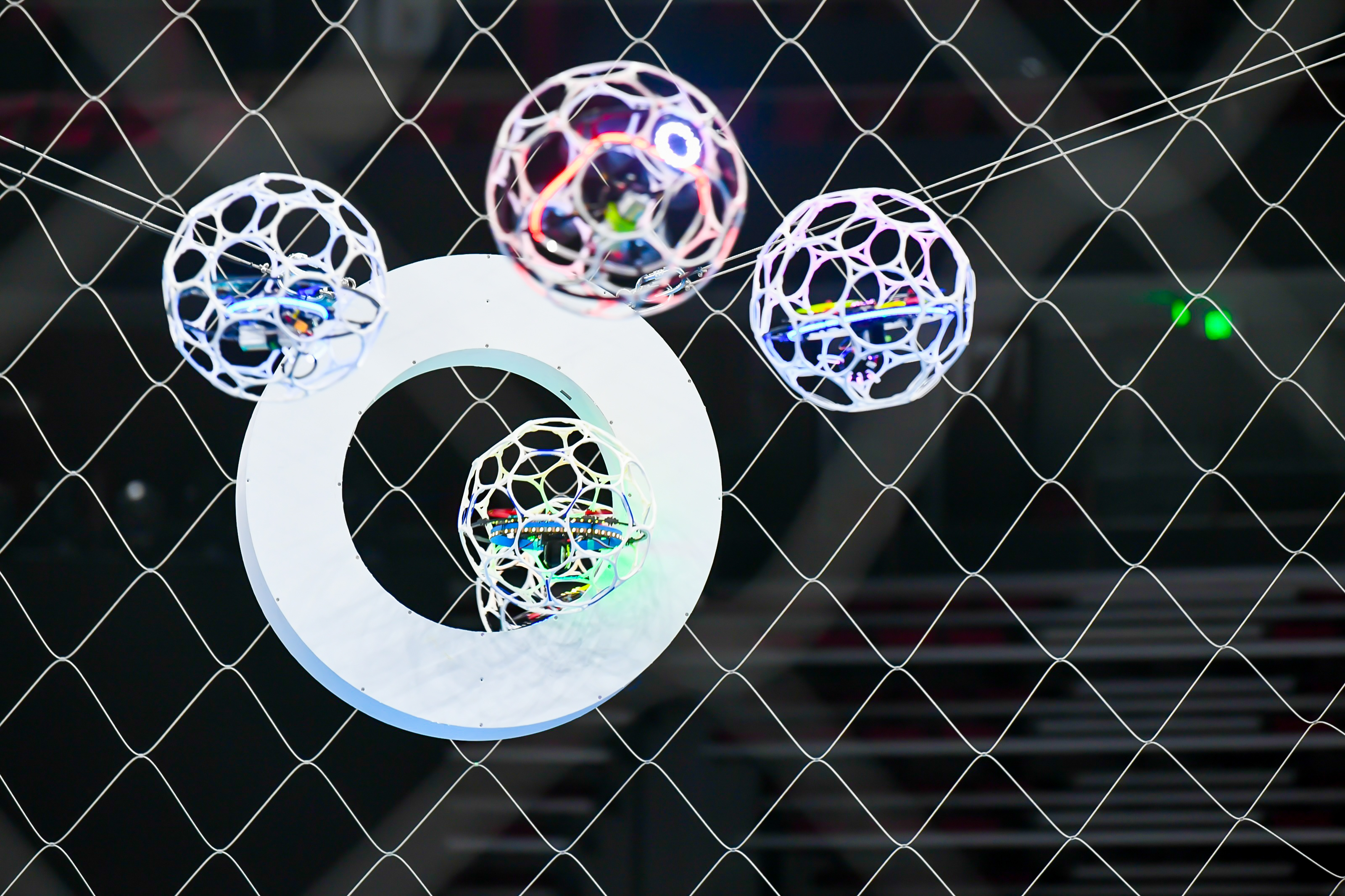 WechatIMG1045.jpg WechatIMG1045.jpg