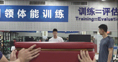 006.gif